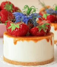 Extra Small Cheesecake